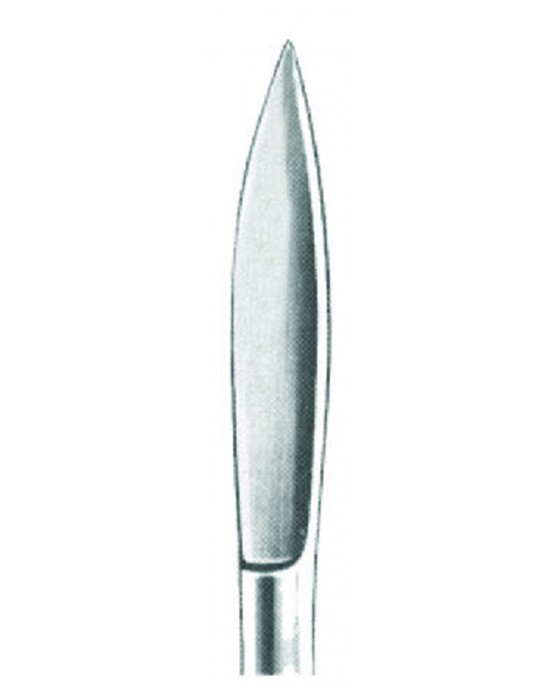 SS-01-1016-16