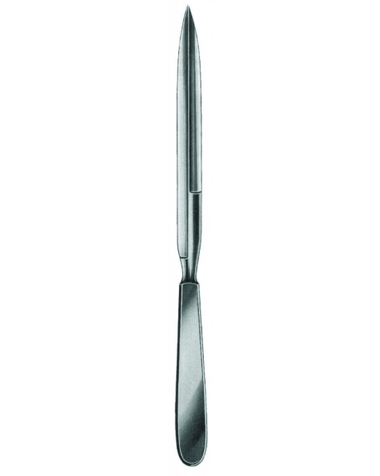 SS-01-1031-19
