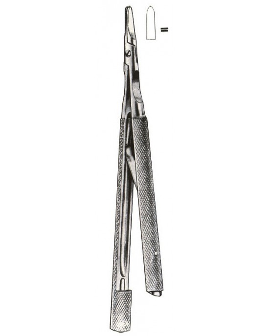 SS-01-1037-13