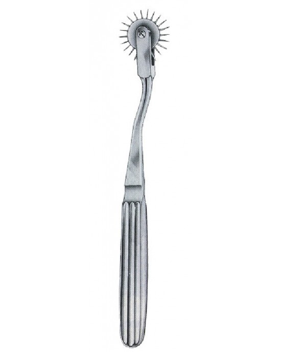 SS-02-1121-19