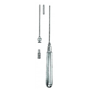SS-03-1256-19