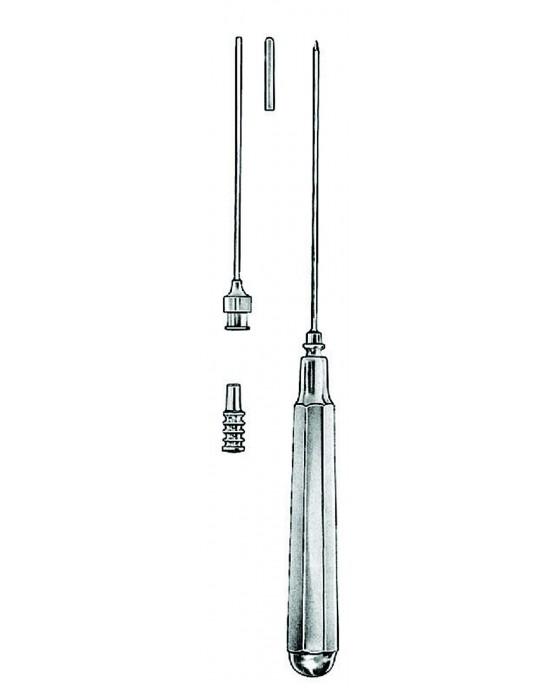 SS-03-1256-19
