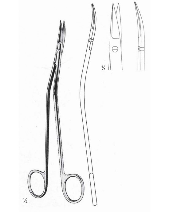 SS-04-1367-17