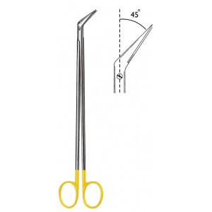 SS-06-1856-19