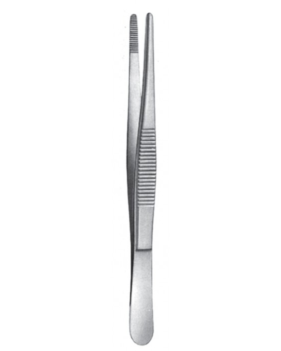 SS-08-2018-13