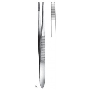 SS-08-2019-15