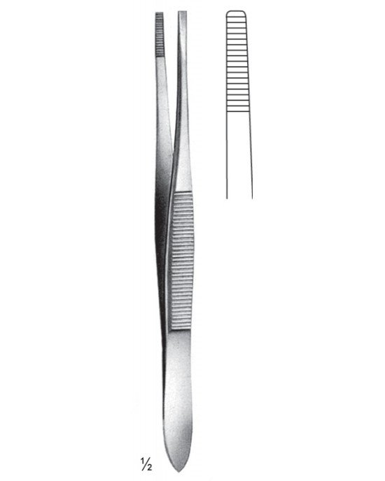 SS-08-2019-15