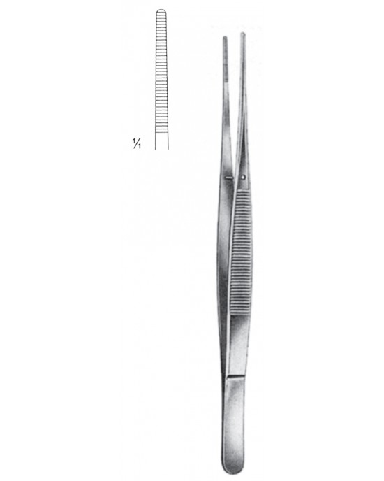 SS-08-2020-21