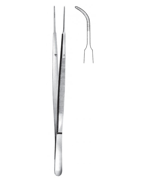 SS-08-2025-18