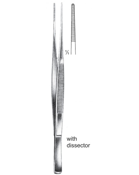 SS-08-2026-17
