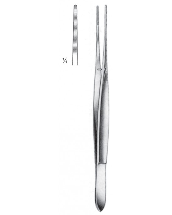SS-08-2028-17