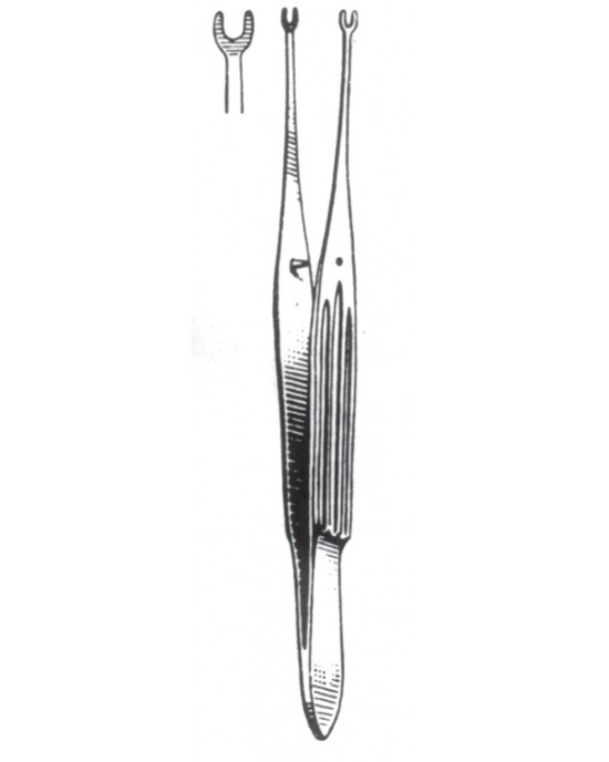 SS-08-2040-15