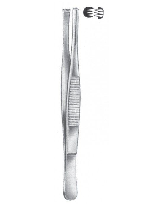 SS-08-2056-13