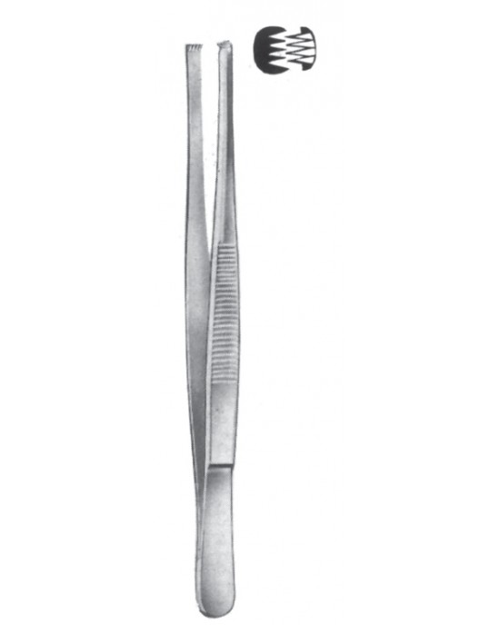 SS-08-2057-13