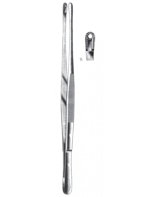 SS-08-2113-25