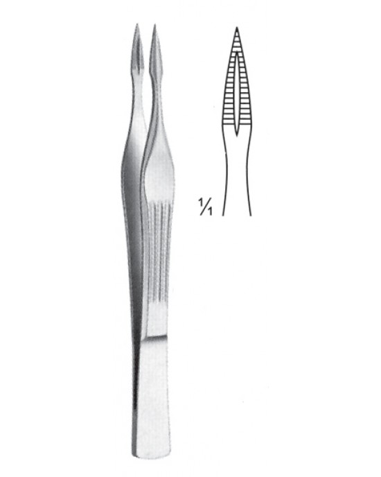 SS-08-2133-10