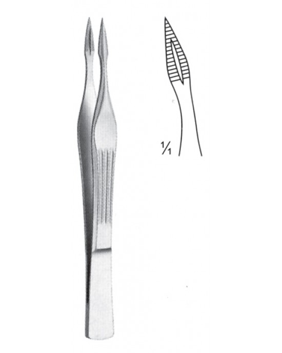 SS-08-2134-10