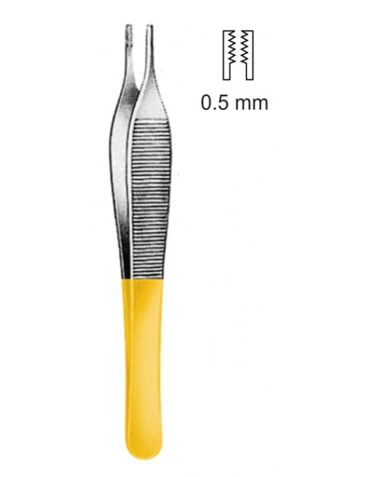 SS-09-2305-12