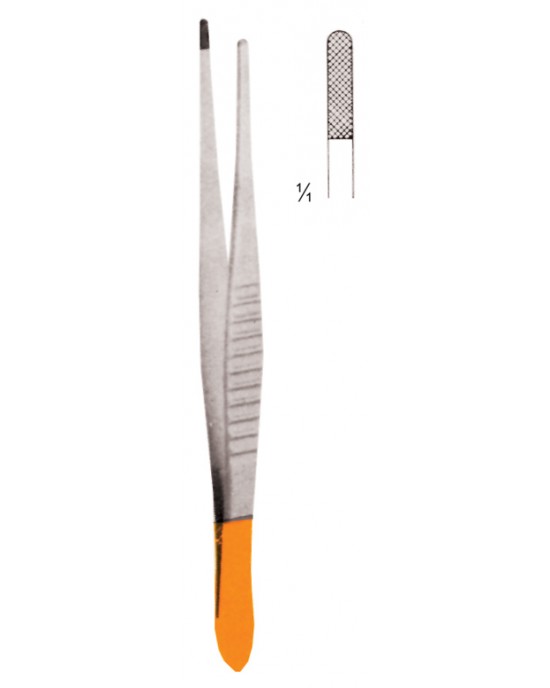 SS-09-2308-15