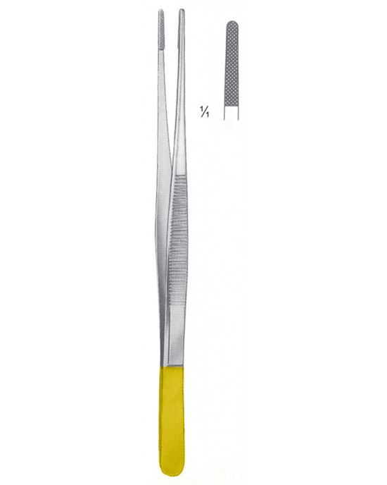 SS-09-2312-16