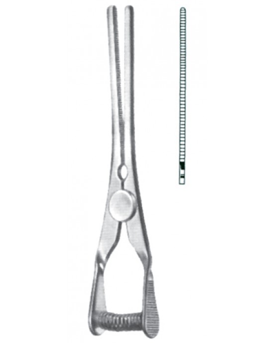 SS-10-2404-00