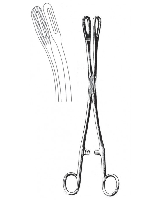 SS-12-2829-25