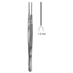 SS-19-5503-15
