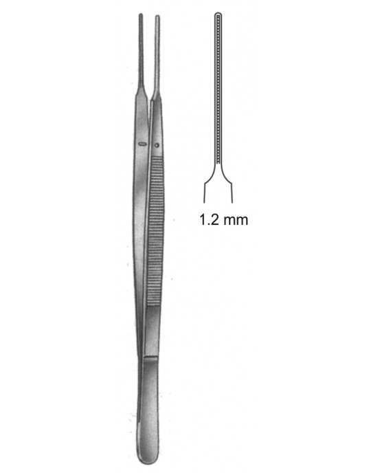 SS-19-5503-15