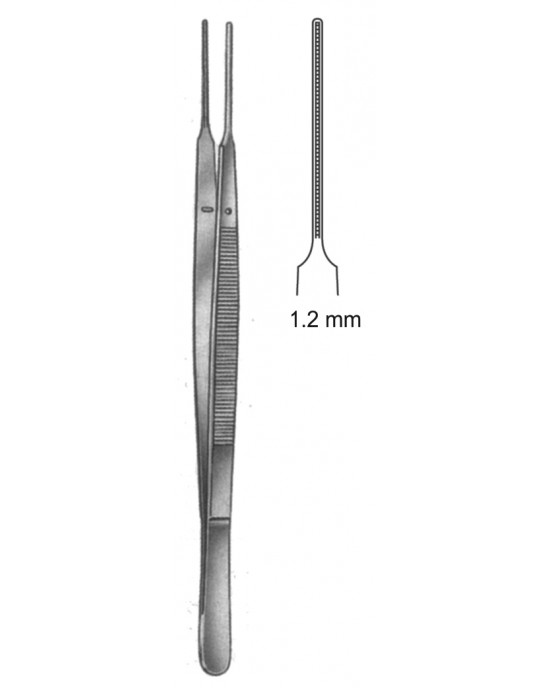 SS-19-5503-18