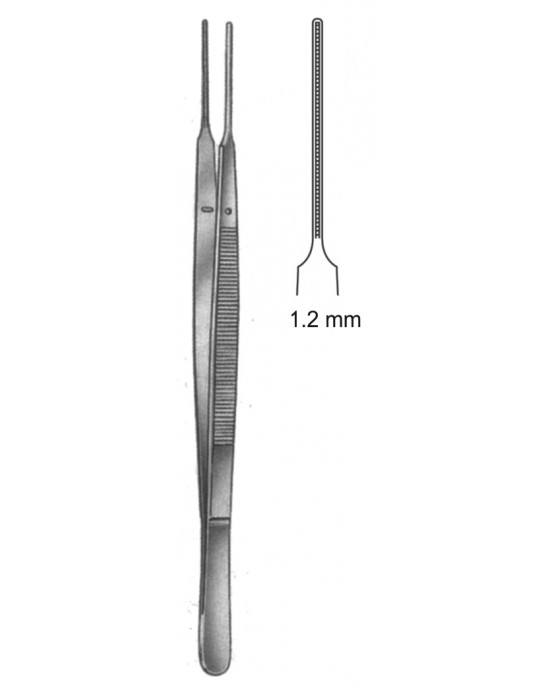 SS-19-5503-24