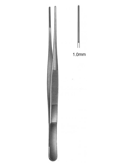 SS-19-5505-19