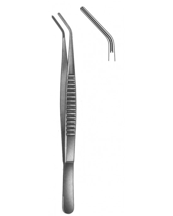 SS-19-5513-24
