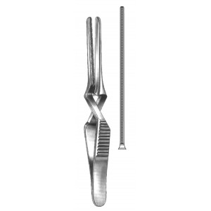 SS-19-5529-12