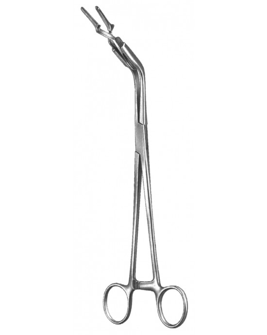 SS-19-5531-23
