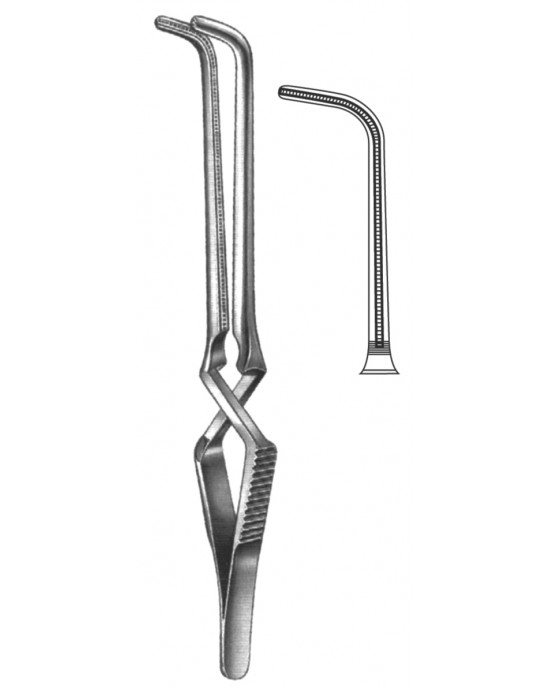 SS-19-5533-09