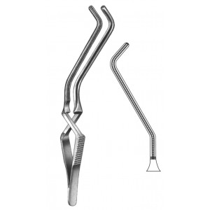 SS-19-5534-01
