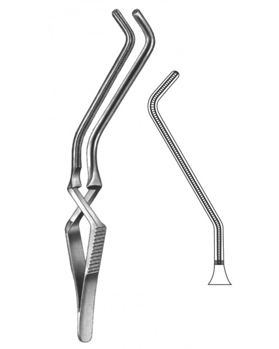 SS-19-5534-01