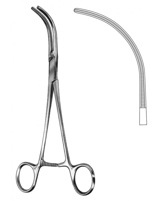 SS-19-5539-24