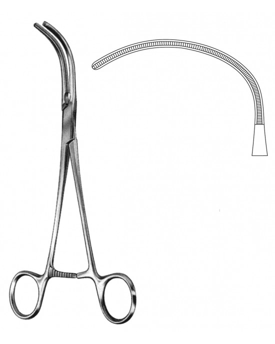 SS-19-5541-22