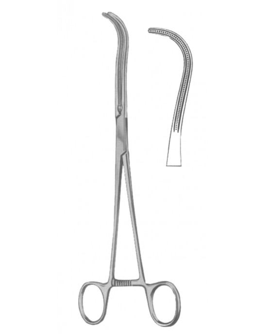 SS-19-5543-19