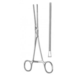 SS-19-5545-01