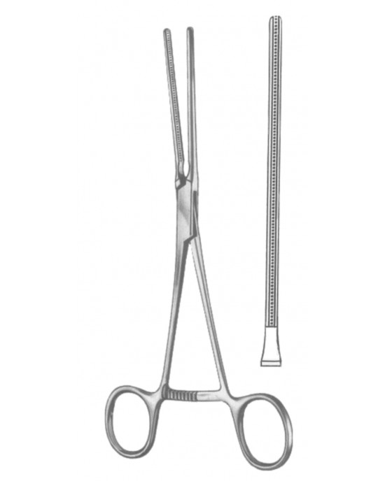 SS-19-5545-01