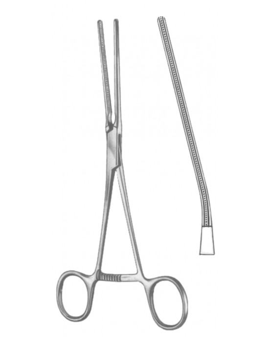 SS-19-5545-02