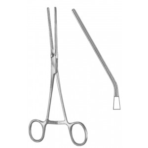 SS-19-5545-03