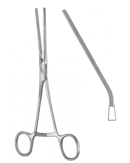 SS-19-5545-03