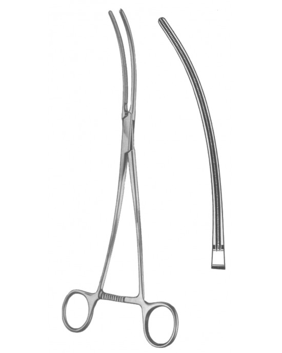 SS-19-5547-31