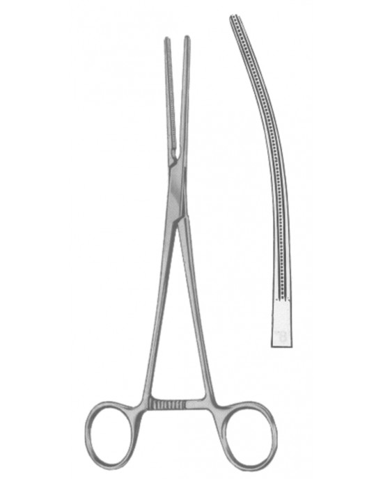 SS-19-5549-18