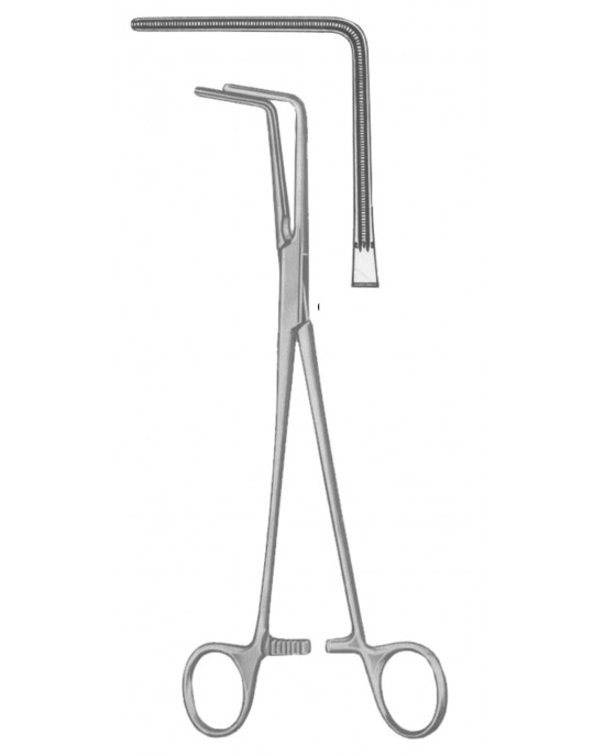 SS-19-5558-23