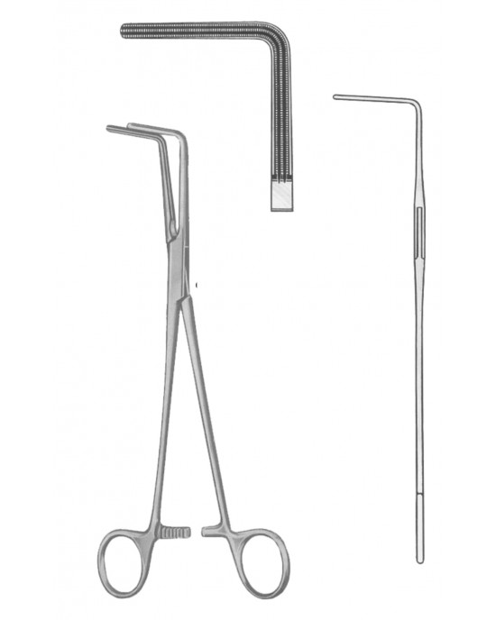 SS-19-5559-25