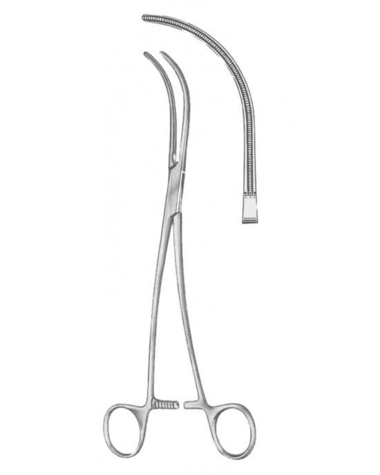 SS-19-5562-24